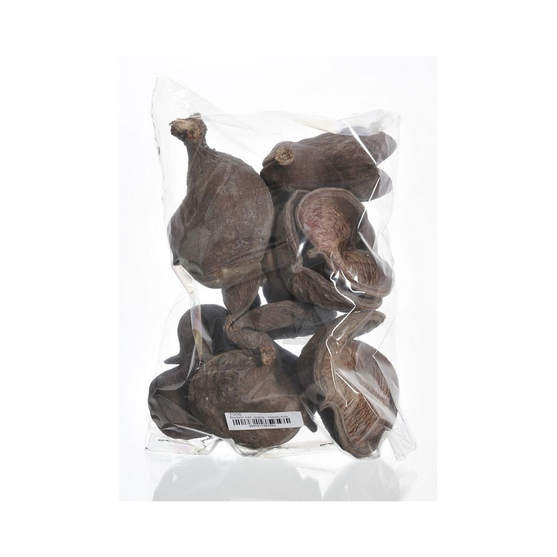 Badam Nut natural 10 cm - paczka/10 szt - susz dekoracyjny