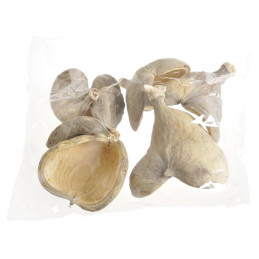 Badam wybielany. - pacz. 6 szt - susz dekoracyjny