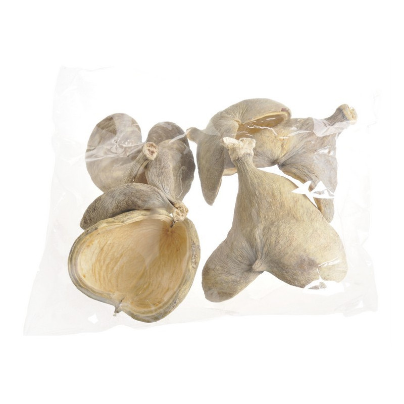 Badam wybielany. - pacz. 6 szt - susz dekoracyjny