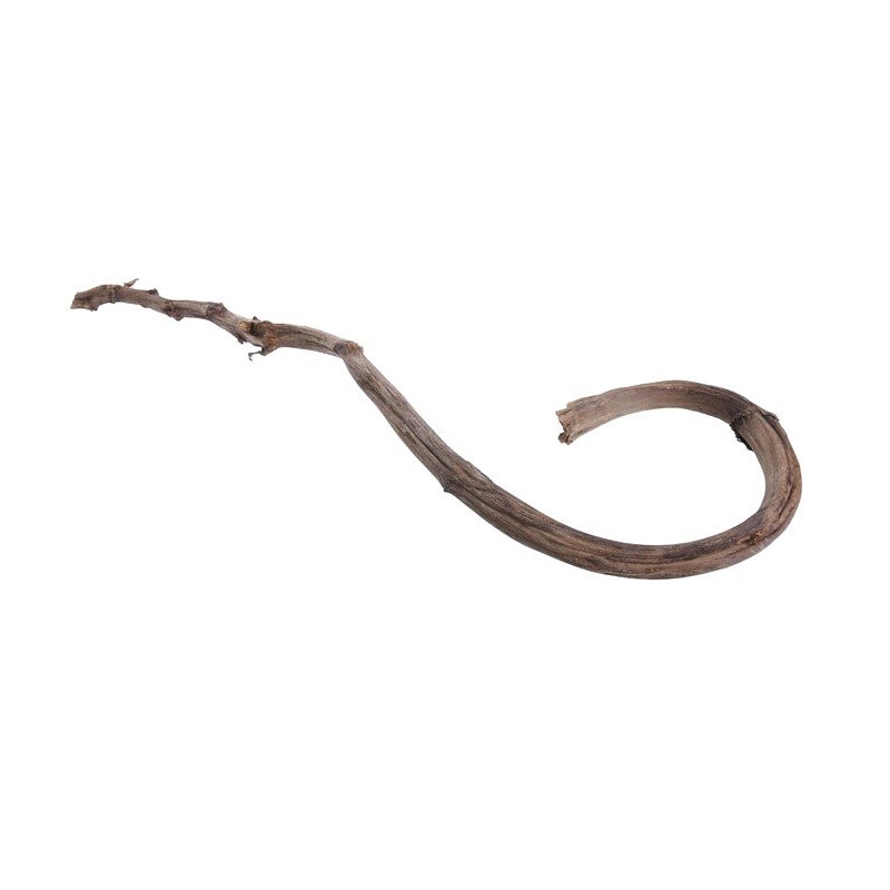 Banana Stick natural 75 cm - laska mikołaja