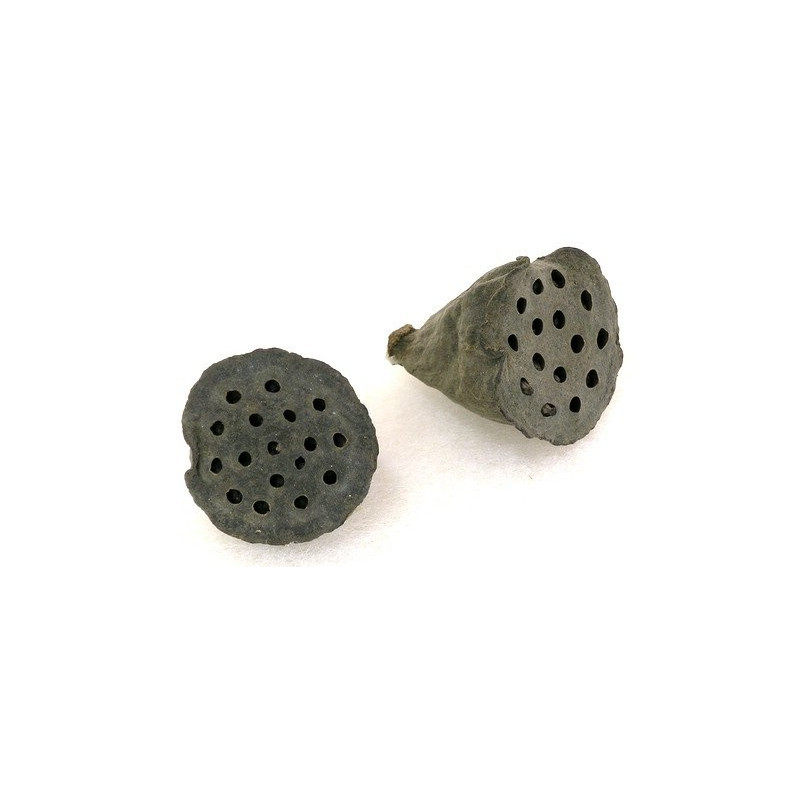 Lotus mini 3 cm - LUZ