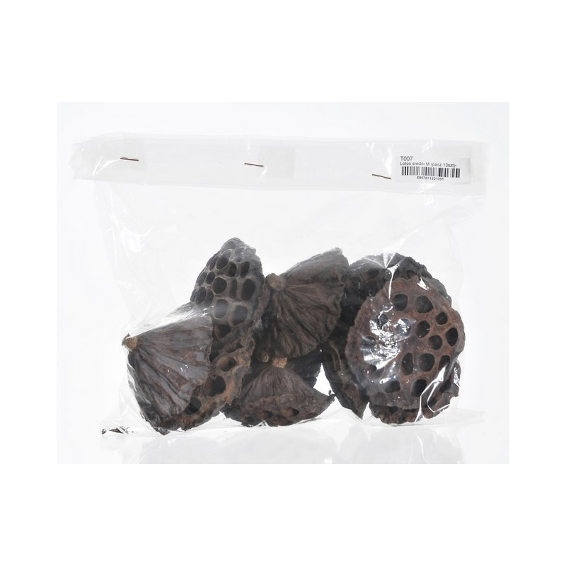 Lotos medium 5-7 cm PACZKOWANY - paczka/10 szt