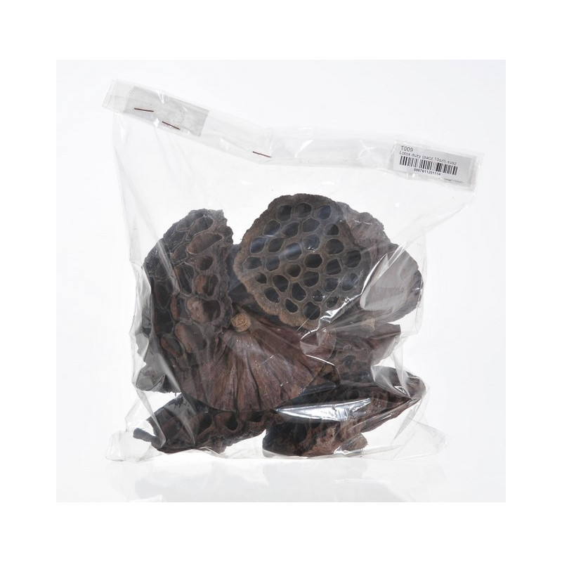 Lotus large 7-9 cm PACZKOWANY - Lotos duży paczka/10 szt