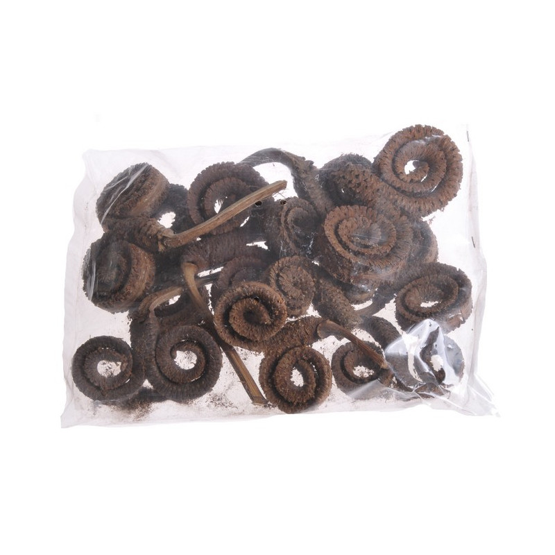 Palm Ring ( pacz. 10 szt)  -susz