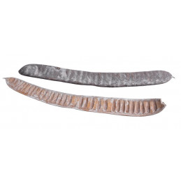 Step Frurt frosted white 40-45 cm. - susz dekoracyjny