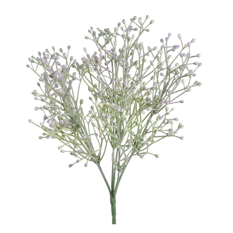 Gałązka broom bloom - spray