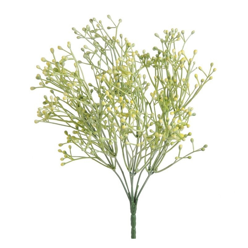 Gałązka broom bloom - spray