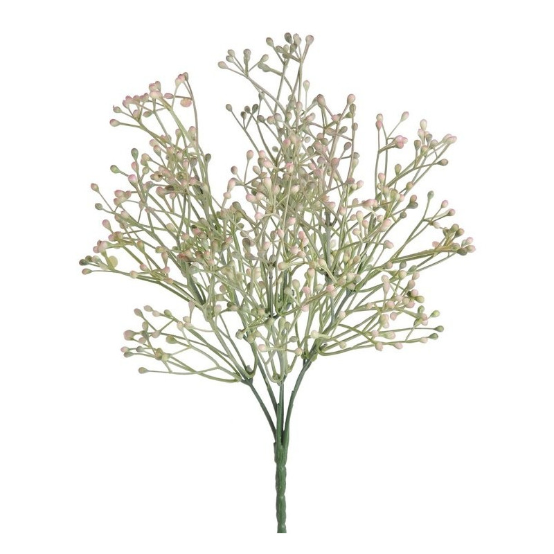 Gałązka broom bloom - spray