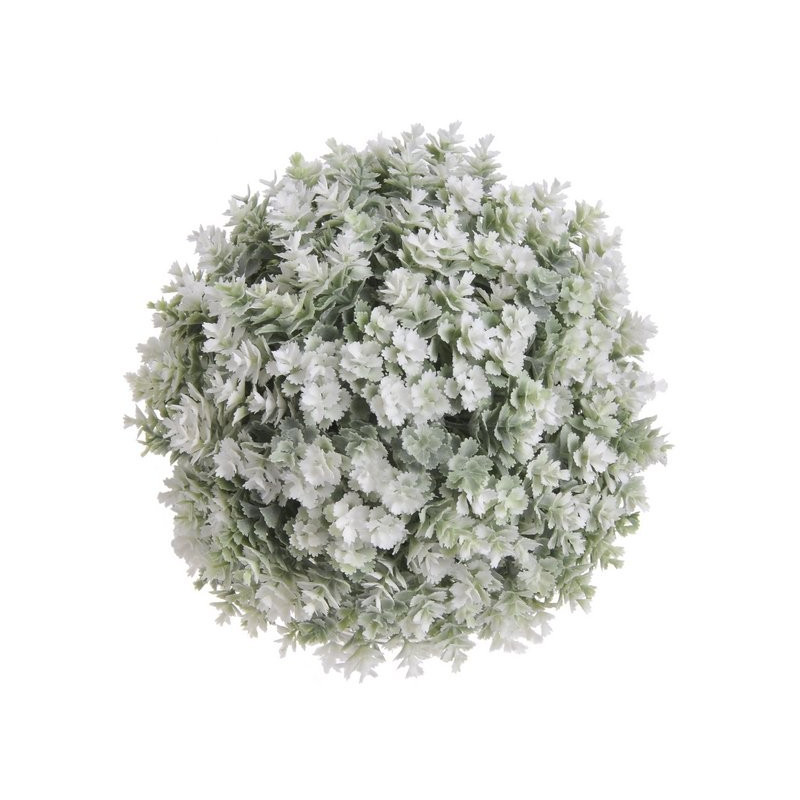 Kula kalanchoe 16 cm