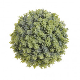 Kula kalanchoe 16 cm