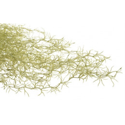 Tilancja zwisająca 76 cm - sztuczna roślina