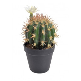 Kaktus kwitnący w doniczce 22 cm - sztuczna roślina
