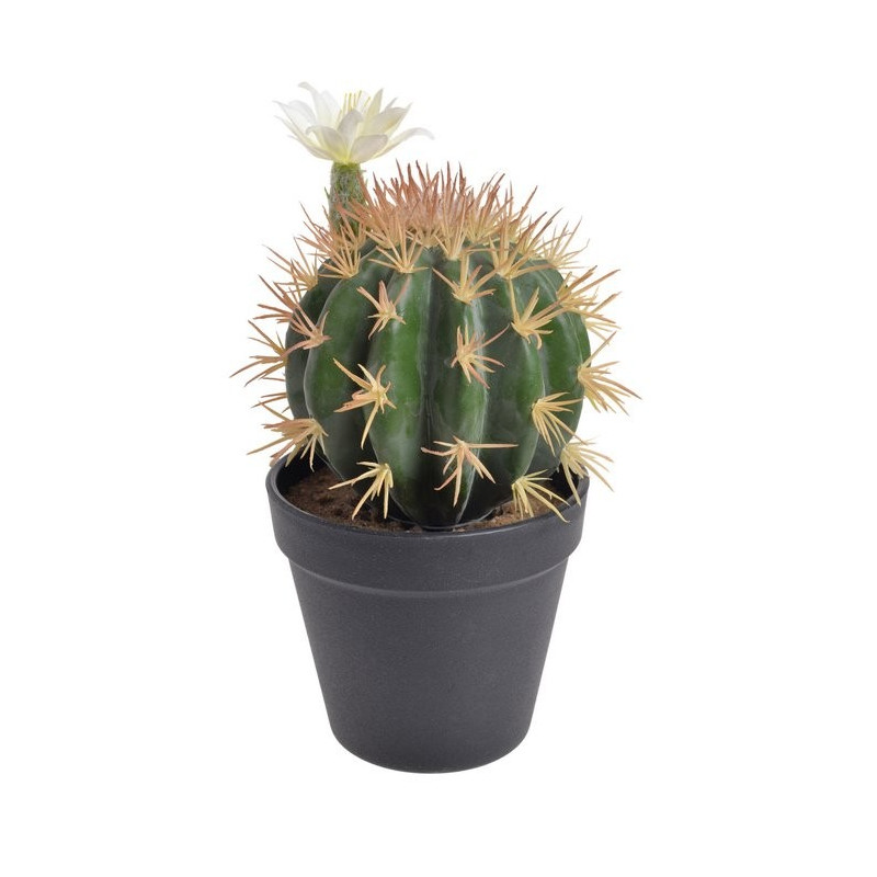 Kaktus kwitnący w doniczce 22 cm - sztuczna roślina