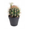 Kaktus kwitnący w doniczce 22 cm - sztuczna roślina