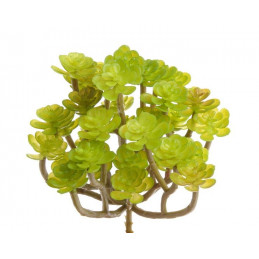 Sukulent 14x13 cm 3 kolory