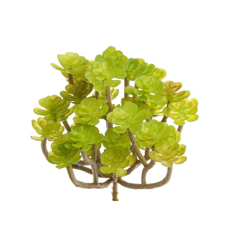 Sukulent 14x13 cm 3 kolory