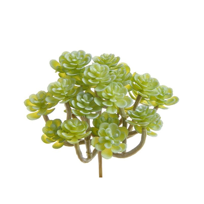 Sukulent 14x13 cm 3 kolory