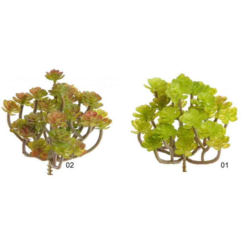 Sukulent 14x13 cm 3 kolory