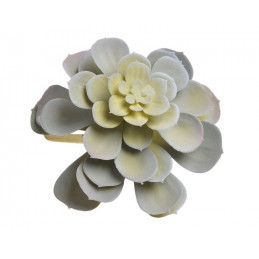 Sukulent 17x14 cm GREY