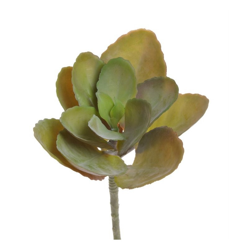 Sukulent 22x29 cm - sztuczna roślina