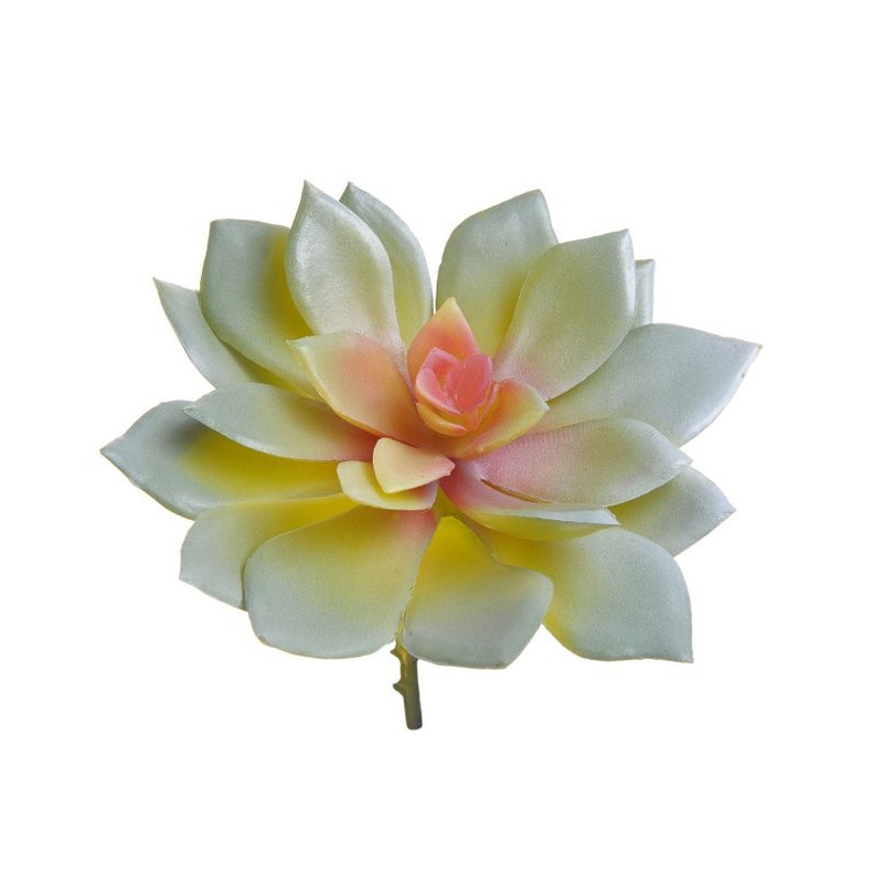 Sukulent 10x10 cm - sztuczna roślina 2 KOLORY