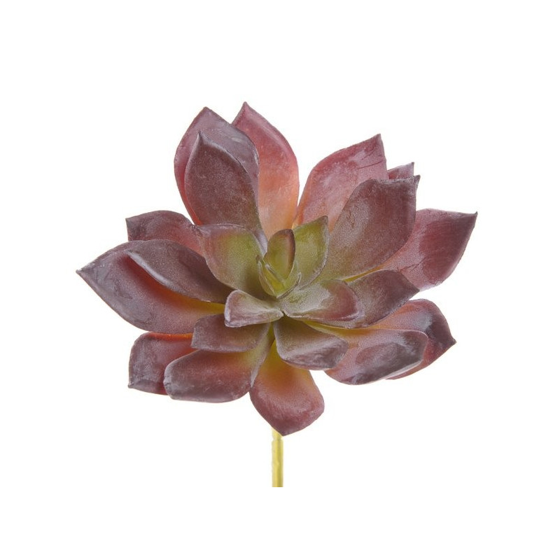 Sukulent 10x10 cm - sztuczna roślina 2 KOLORY