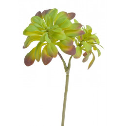 Sukulent 29x17 cm - sztuczna roślina 2 kolory
