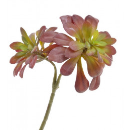 Sukulent 29x17 cm - sztuczna roślina 2 kolory