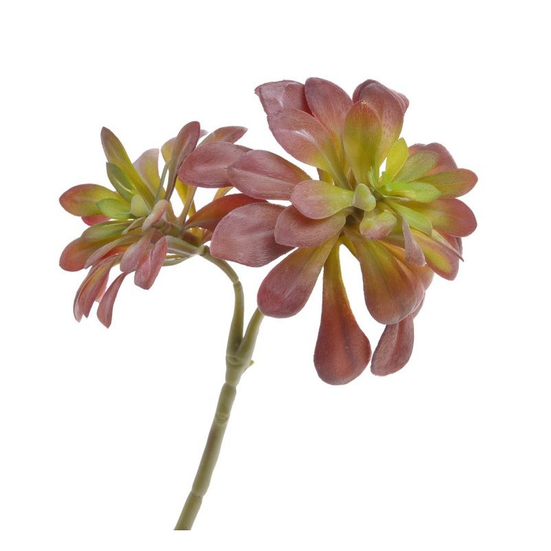 Sukulent 29x17 cm - sztuczna roślina 2 kolory