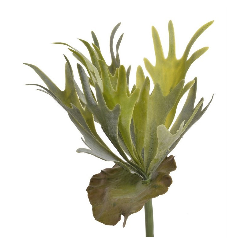 Łosie rogi..33x15 cm - sztuczna roślina