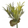 Łosie rogi..33x15 cm - sztuczna roślina