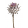 Cynara bud stonewashed 20-30 cm - susz roślinny