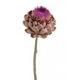 Artichoke flower small natural 35-45 cm - susz roślinny
