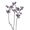X-type branch frosted brombeer  20-30 cm - susz dekoracyjny