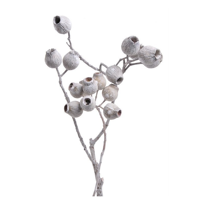 Eukaliptus X-type branch stone washed 30-35cm  ( 3 szt/pacz) - susz