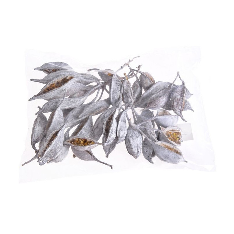 Brachiciton loose stone washed 200g 10 -15 cm - susz