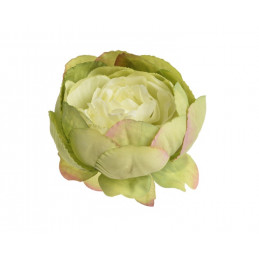 Główka piwonii 9cm, 6szt-paczka