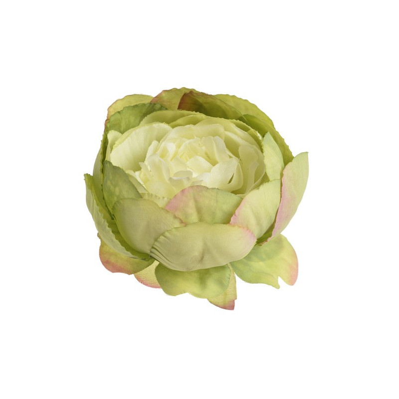 Główka piwonii 9cm, 6szt-paczka