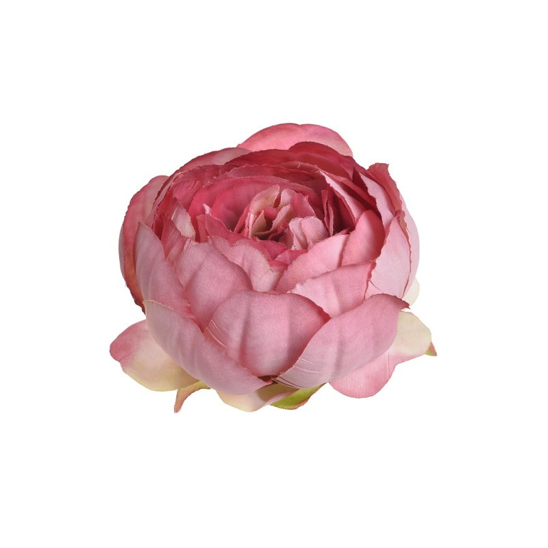 Główka piwonii 9cm, 6szt-paczka