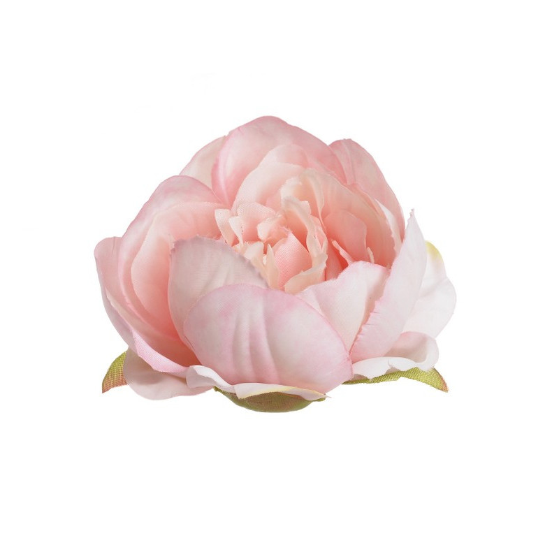 Główka piwonii 9cm, 6szt-paczka