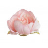 Główka piwonii 9cm, 6szt-paczka