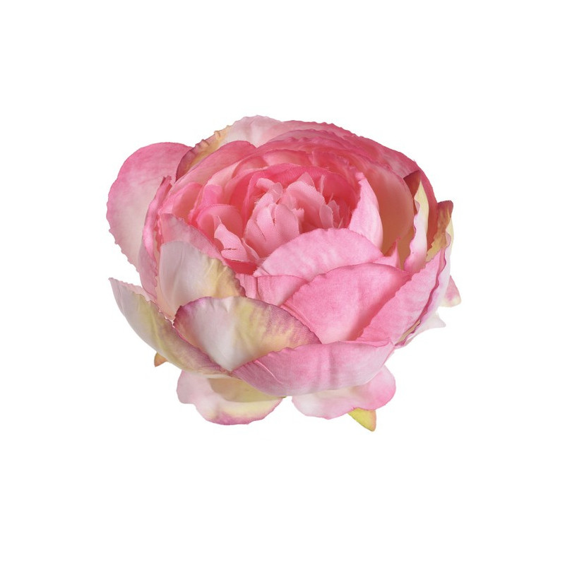 Główka piwonii 9cm, 6szt-paczka