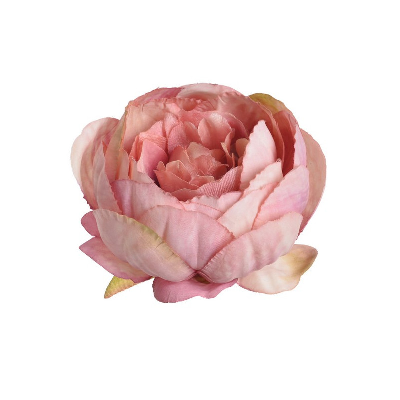 Główka piwonii 9cm, 6szt-paczka