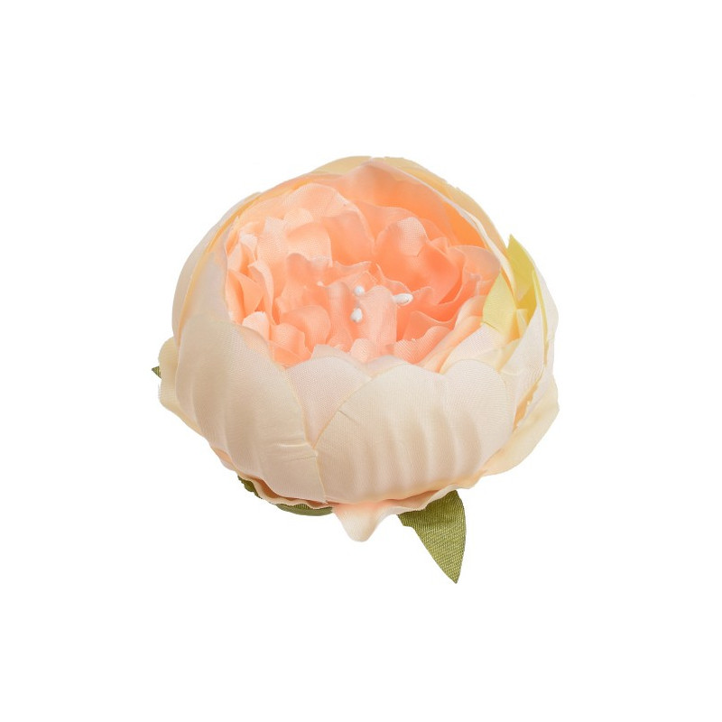 Główka piwonii 8 cm, 6szt-paczka