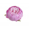 Główka piwonii 8 cm, 6szt-paczka