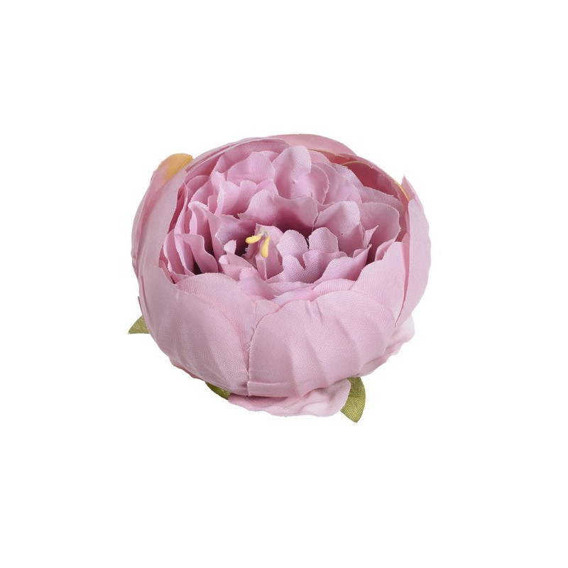 Główka piwonii 8 cm, 6szt-paczka