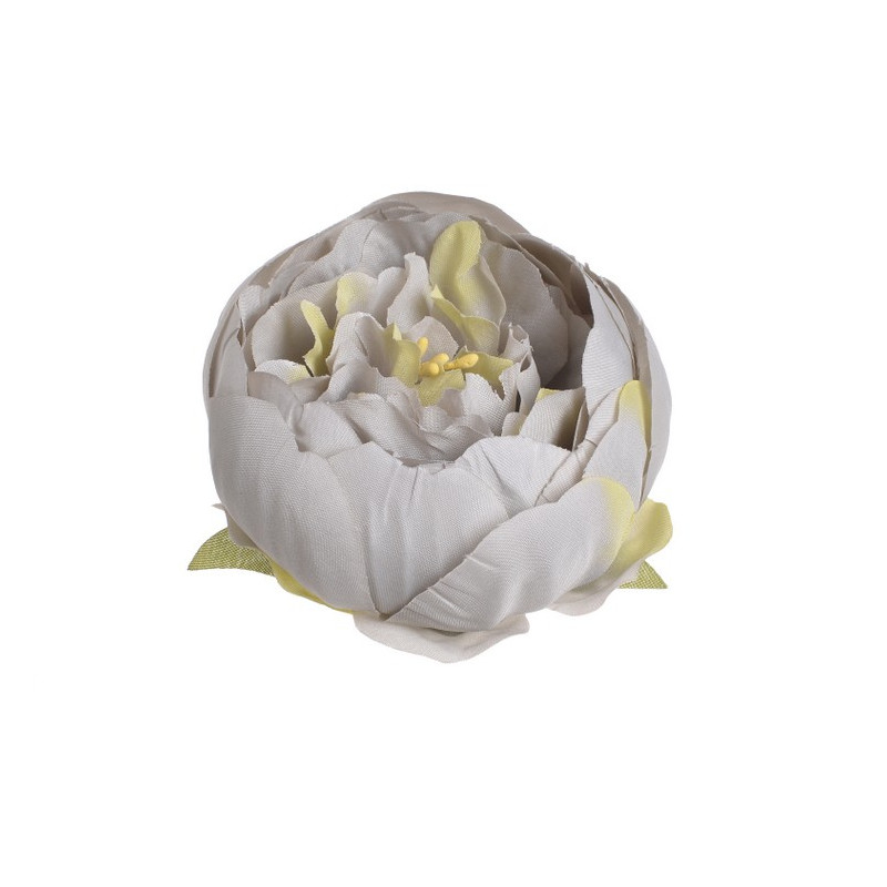 Główka piwonii 8 cm, 6szt-paczka