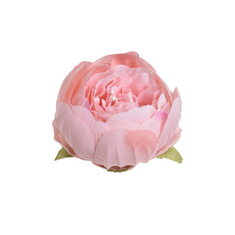 Główka piwonii 8 cm, 6szt-paczka