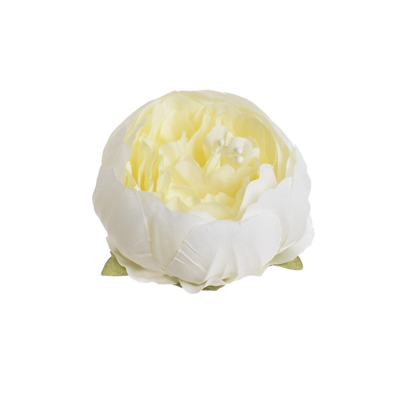 Główka piwonii 8 cm, 6szt-paczka