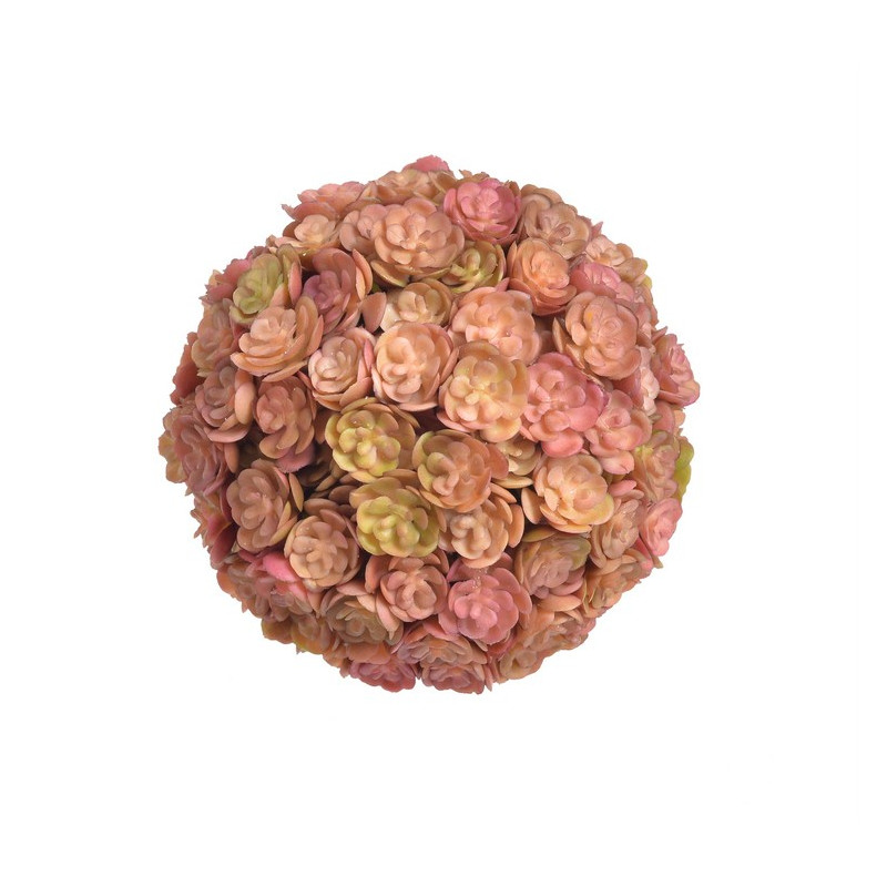 Kula sukulent 10 cm